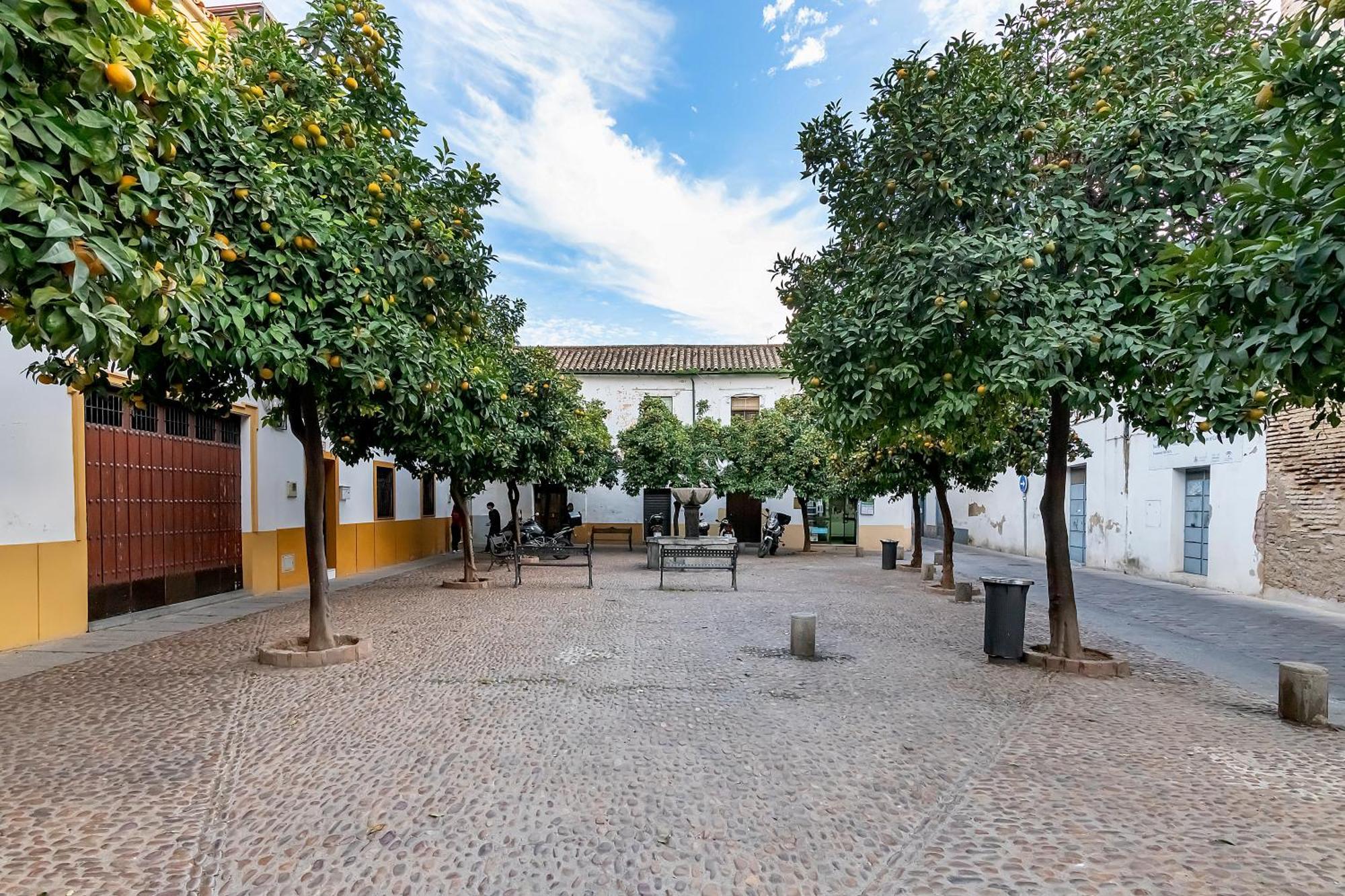 Appartamento Bhost - Yayo Pepe Cordova Esterno foto